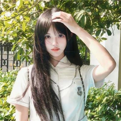 妖精森林的小不点
